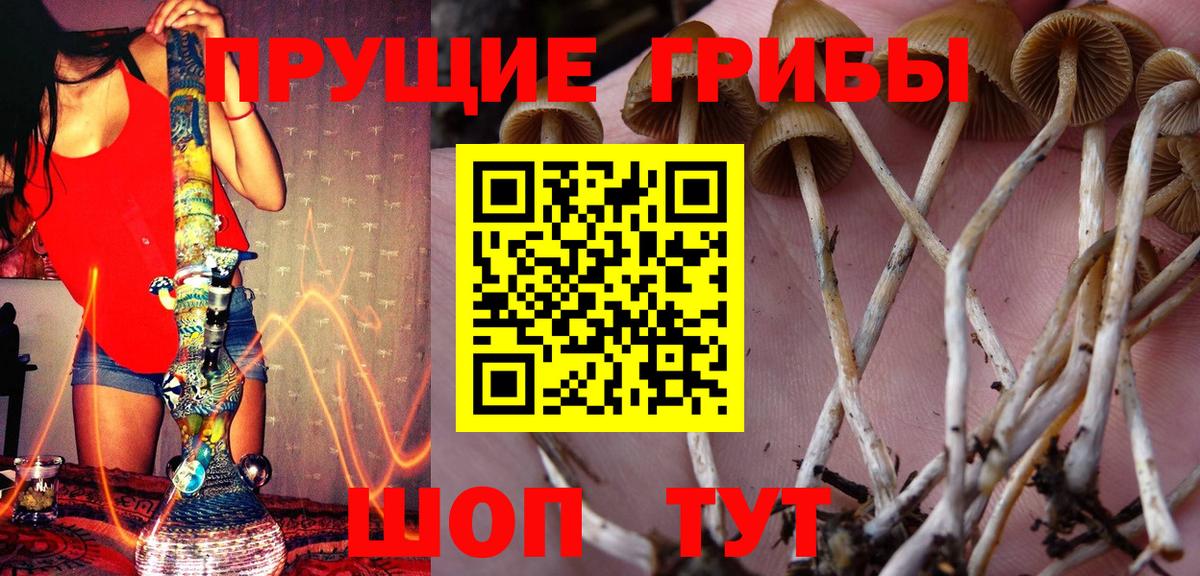 Бутурлиновка  Псилоцибиновые грибы ЛСД  Вход с VPN 